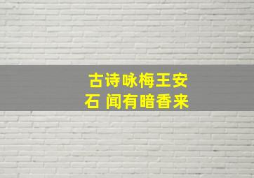 古诗咏梅王安石 闻有暗香来